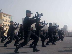 新余警校吃瓜事件视频,真相揭秘与网络舆论风暴