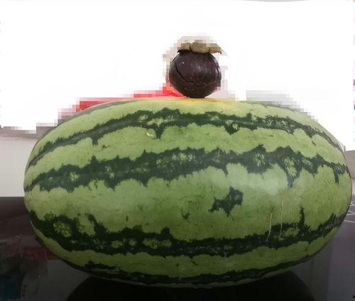 大家吃瓜的视频在哪里看的,各大平台热门聚集地大揭秘