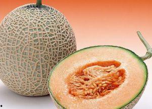 大嘴吃哈密瓜视频大全,趣味视频盛宴，尽享甜蜜滋味