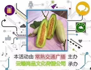 博洋瓜怎么吃视频