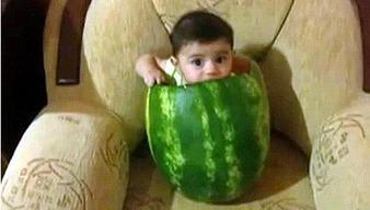 老板吃葫芦瓜视频播放,视频播放引网友热议