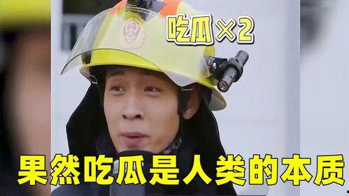 人类的吃瓜视频