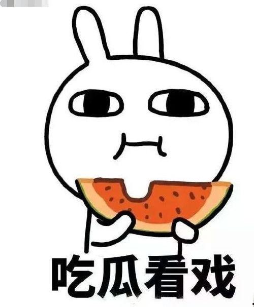 吃瓜讽刺网友的动画视频