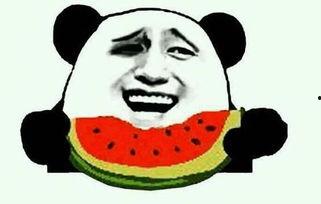 瓜娃子吃霸王餐视频