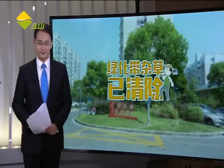 林州吃瓜新闻视频最新消息,揭秘事件真相，视频曝光惊人细节