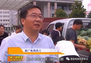 滑县吃瓜视频最新情况,揭秘事件最新进展与网友热议