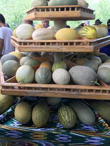 新疆吃瓜的视频大全,吃瓜视频大全，尽享瓜果飘香