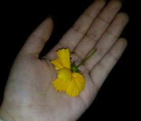 电影吃瓜素材视频,一场视觉盛宴的幕后故事