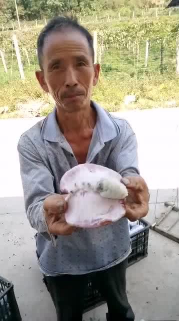 大叔吃瓜儿视频,揭秘娱乐圈幕后故事