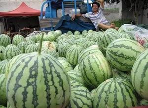 吃瓜群众崩溃视频