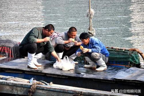 汕尾渔民吃瓜事件始末视频,一场误会引发的争议与反思