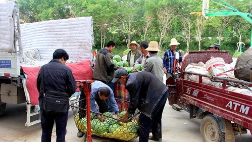 茌平吃瓜群众事件视频,一场网络舆论的风暴与反思