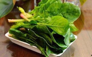 吃瓜菠菜视频,一场视觉与味蕾的双重盛宴
