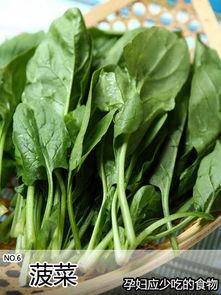 吃瓜菠菜视频,一场视觉与味蕾的双重盛宴