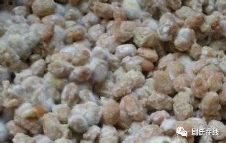 延津吃瓜的视频,揭秘当地特色美食背后的故事