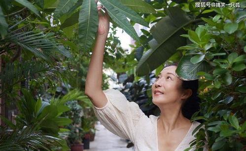 吃瓜事件网红楠楠视频,揭秘娱乐圈幕后真相