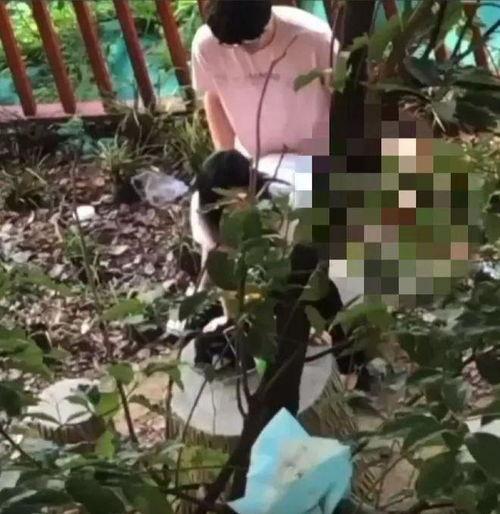 吃瓜事件网红楠楠视频,揭秘娱乐圈幕后真相