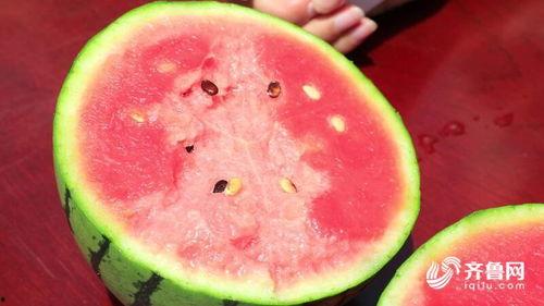 莘县吃瓜视频,揭秘当地美食文化盛宴