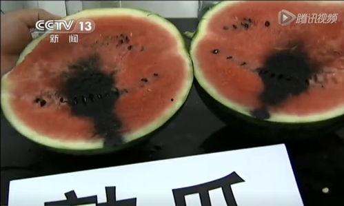 吃瓜吃到露馅视频,揭秘“吃瓜吃到露馅”视频背后的真相