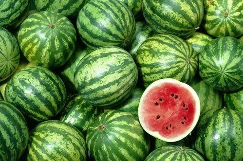 买瓜吃西瓜视频