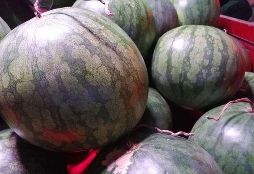 买瓜吃西瓜视频