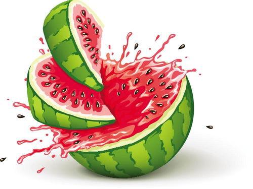 欢乐吃瓜的歌曲大全集视频,欢乐吃瓜歌曲大全集视频精彩回顾