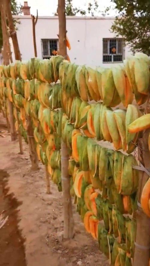 哈密瓜干吃的视频