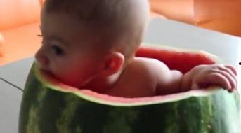 吃瓜的宝宝视频,视频记录童真瞬间