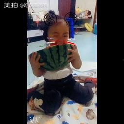 吃瓜的宝宝视频,视频记录童真瞬间