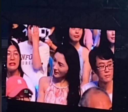 谁的演唱会吃瓜视频播放,吃瓜视频背后的惊人真相