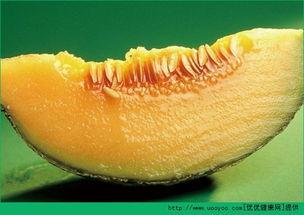 啥时间吃哈密瓜好呢视频,哈密瓜最佳食用时间揭秘